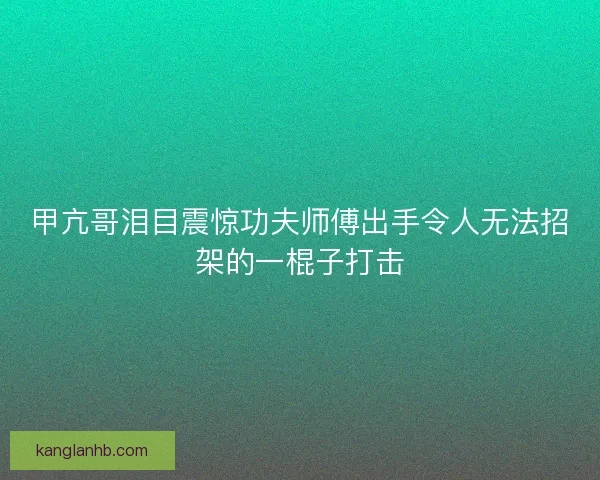 甲亢哥泪目震惊功夫师傅出手令人无法招架的一棍子打击